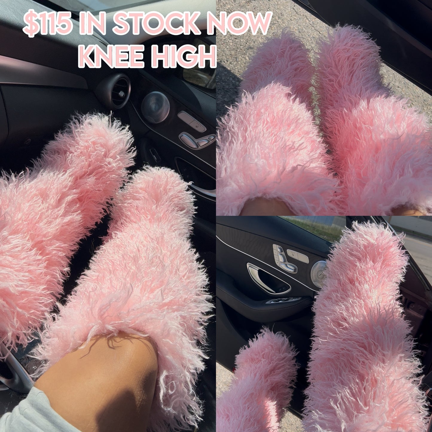Poodle Boots