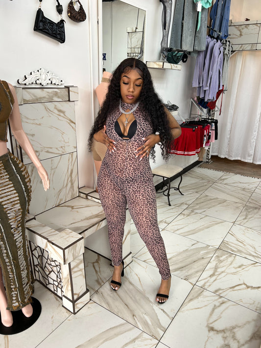 Mesh Up Jumpsuit